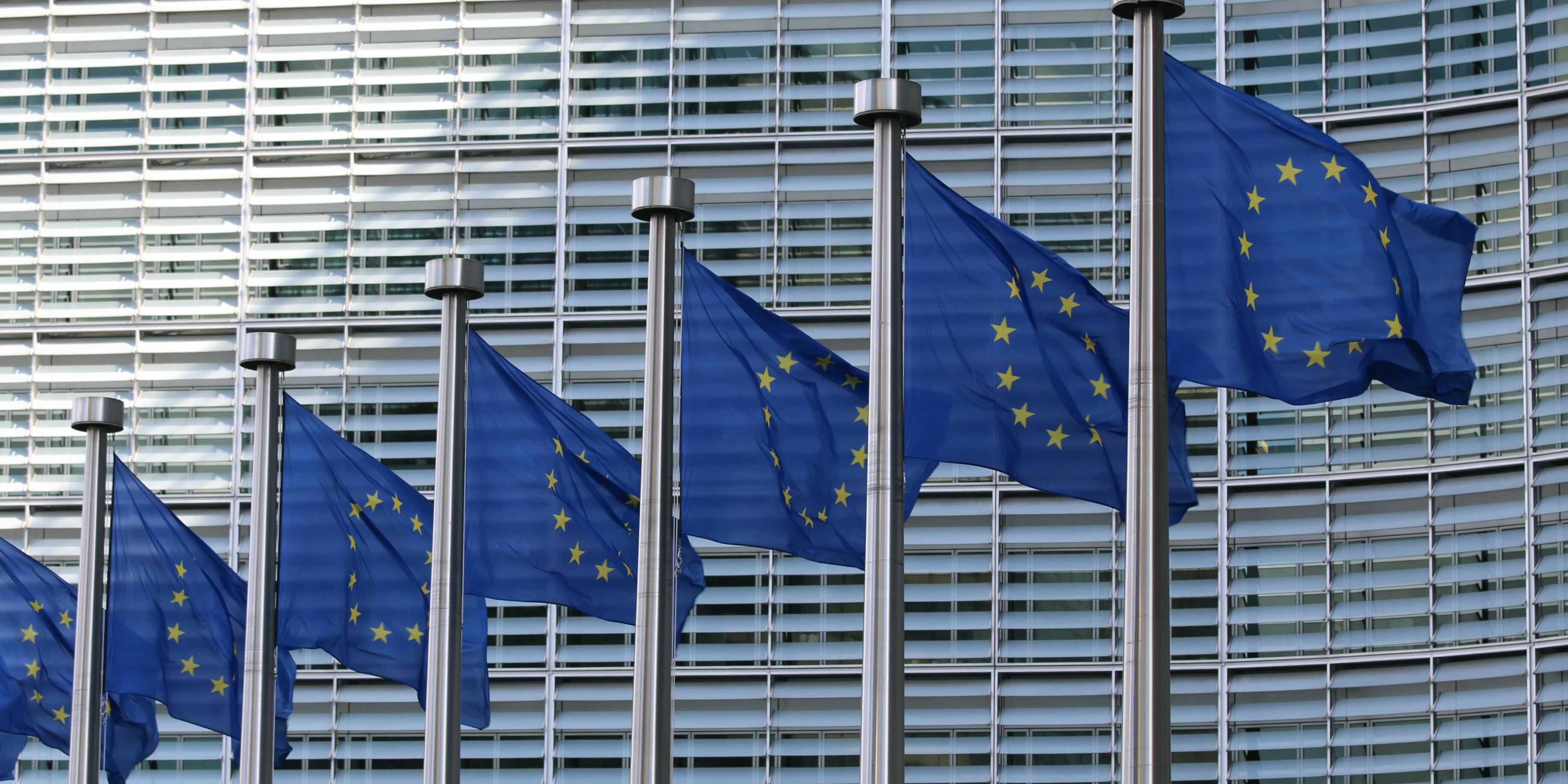 Imatge conjunt de banderes de la Unió Europea
